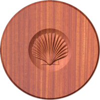 B4-ScallopShell            