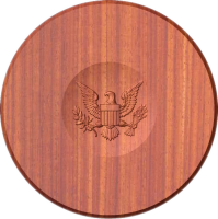 D1-AmericanEagle           